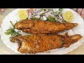 fried fish تلی ہوئی مچھلی