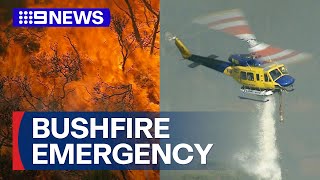 Out-of-control bushfire erupts on Sydney's northern beaches | 9 News Australia