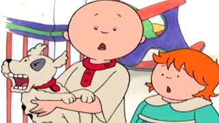 Kajtus po polsku | Kajtus i Zły Pies | Bajki dla dzieci | Animacja kreskówka | Caillou Polish