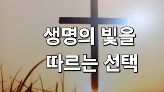 2025년2월20일/새벽/생명의 빛을 따르는 선택 (요한 복음812-14절)