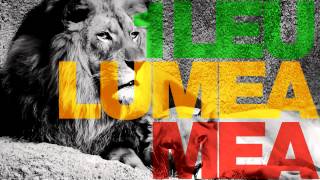 One Lion - Lumea Mea