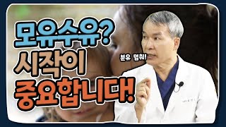 모유수유🍼 처음 시작이 중요합니다! 처음부터 분유는 안돼요❌