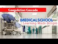 Medical School - Coagulation Cascade