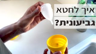 איך לחטא גביעונית עם סטריליזטור