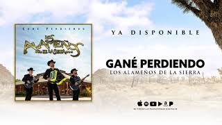 Gané Perdiendo - Los Alameños De La Sierra (Audio)