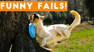 TRY NOT to LAUGH Animals FUNNY PET FAILS Compilation  2018 | Epic Pet s & Moment