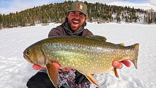 Ice Fishing for GIANT Brook Trout!!! (CATCH, CLEAN, COOK)