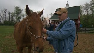 Horses help vets cope with PTSD