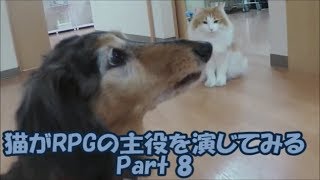 旭川市　動物病院　ほんむら動物病院で飼われている猫があのRPGの主役を演じてみる姿　Part8　新たな出会い編