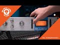 Black Lion Audio // Bluey Compressor/Limiter - No Talking Demo