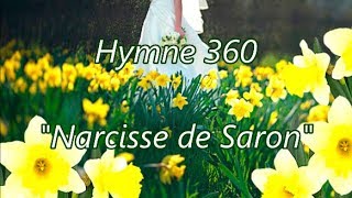 Hymne 360 - Narcisse de Saron - Ó Rosa de Saron (em francês) H04 CCB