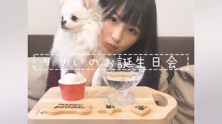 可愛すぎる愛犬りりいのお誕生日会してみた！