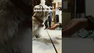 Day 9 of Bella’s jerky advent calendar!!