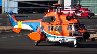 【元海保】新日本ヘリコプター Aerospatiale AS332L1 SuperPuma(JA6686)＠東京ヘリポート 2023/01/06