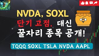 NVDA, SOXL 아쉽지만 단기 고점. 대신 이 종목 좋아 보입니다  / 미국주식 차트분석 기술적분석 TQQQ SOXL TSLA NVDA AAPL MSFT