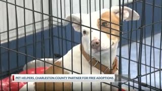 Pet Helpers and Charleston County partner for free adoptions