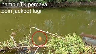 Paser ikan//hampir TK percaya poin jackpot sombro lagi@habibmuhammad201