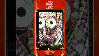 ପତିତ ପାବନଙ୍କ ସନ୍ଧ୍ୟା ଦର୍ଶନ #shorts #jagannathdham #jagannathdarshan #devotional #worship #puri