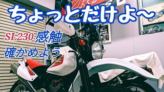 【SL230】2か月乗ってなかったので少しでもSL230乗りたくて近所をリハビリパトロール