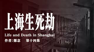 《上海生死劫》第十四集 | 原著：鄭念 | 有聲書 | 大陸下架 #文革 #十年浩劫 #紀實文學