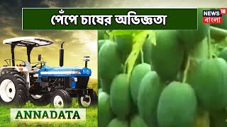 আজকের Annadata-এ পেঁপে চাষে ভালো ফলনের পরামর্শ