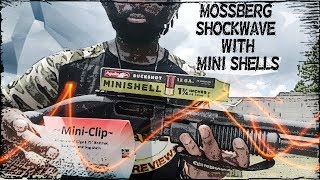 MOSSBERG SHOCKWAVE WITH AGUILA MINISHELLS