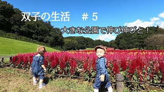 【ふたごの生活 #5】　大きな公園で伸び伸びと！　１歳２ヶ月頃～1歳3ヶ月頃