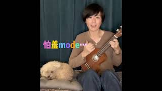 唐寧 Cover 再次Puppy Love