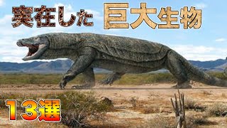 絶滅してよかった巨大生物１３選