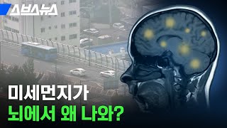 코에서 바로 뇌로 ㄱㄱ? 소름 돋는 미세먼지 침투력;; [지구에서 살아남기 EP.2] / 스브스뉴스