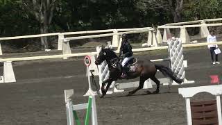 第60回東都学生馬術大会　標準障害飛越競技　ジャンプオフ　4年　Anna　Bortnik　桜艶