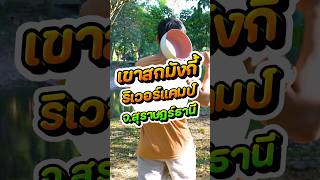 แคมป์ปิ้งริมแม่น้ำที่ เขาสกมังกี้ \u0026 ริเวอร์แคมป์ #camping #shorts