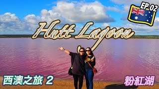 🇦🇺坐直升機看全澳洲最大粉紅湖 Pink Lake 💗(Hutt Lagoon 赫特潟湖)丨Geraldton 傑拉爾頓 ⎜西澳之旅 Aussie Vlog EP02