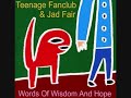 teenage fanclub u0026 jad fair crush on you