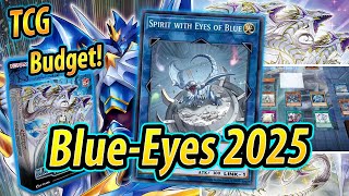 Blue-Eyes 2025 TCG DECK TESTING (VS Meta)