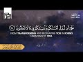 سورة الواقعة كاملة surah al wāqi‘ah علي نمير