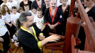 Wing Tsun kung-fu fabábu technika 2014.