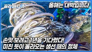 가성비 미쳤다! 60마리에 단돈 만 원? 무려 3톤을 건져 올렸다, 어획량 작년의 2배! 당일 조업 당일 배송 속초 양미리 어선│극한직업│#골라듄다큐