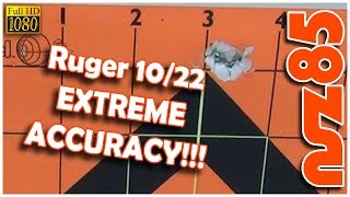 Ruger 10/22 - Gain Accuracy! Little Crow Gunworks GRX