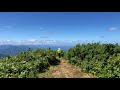 部子山頂上（晴天日）｜福井県池田町