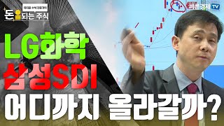 [돈되는주식] LG화학·삼성SDI 어디까지 올라갈까?