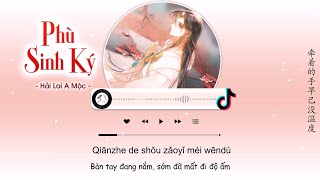 [Vietsub] Phù Sinh Ký - Hải Lai A Mộc | 浮生记 - 海来阿木