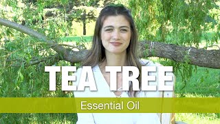 Tea Tree Essential Oil for Skin Care - Explained by Essential Oils Specialist | National Nutrition