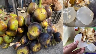 நுங்கு - Nungu / Ice Apple / How to cut ice apple / Street food / Summer Special Food / Palm Fruit