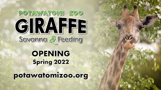 Coming Soon to a Potawatomi Zoo Near You