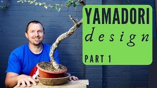 Yamadori Bonsai: Hawthorn Literati Design Structure (Part 1)