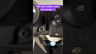 Pani poori water with microbes under microscope #food #panipuri #health #publichealth #subscribe