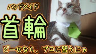 【猫の首輪】の作り方・おしゃれカフェの制服風・・・採用ありがとうございます