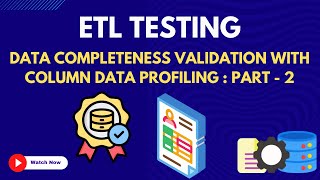 14. Column data Profiling Validation