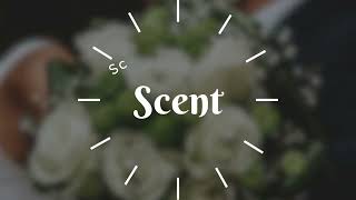 Scent 森特 香氛香水品牌